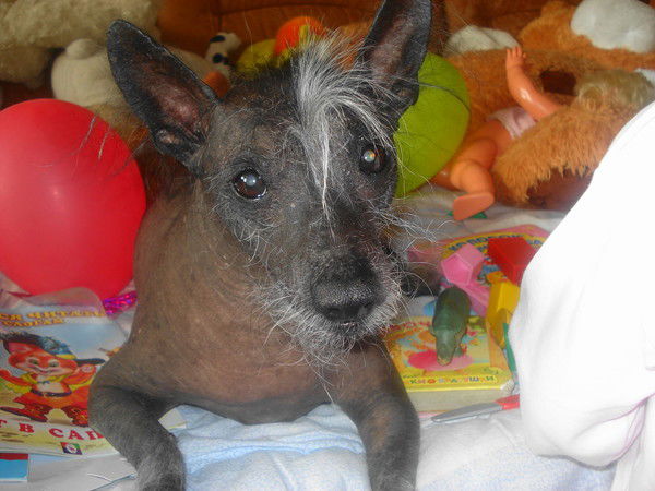 Марина Петракова