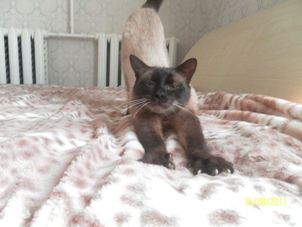 Оксана ***))))***