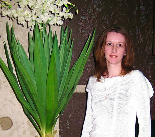 Елена Захаревич