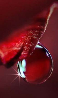 Саша Минаева