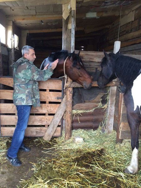 Александр Саркисов