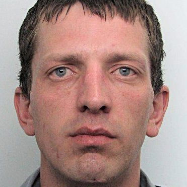 Маричел Трибой