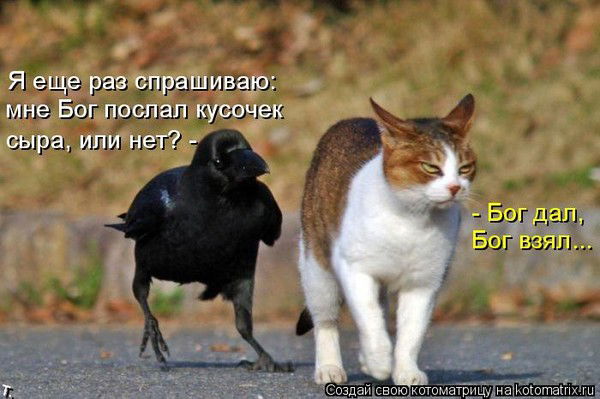 Татьяна Мартыновская