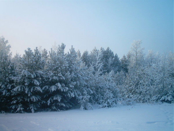 Евгений Кудряков