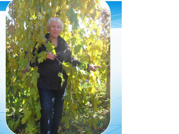 Анжела Шишкина