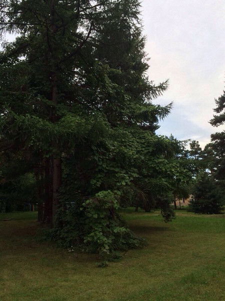 Андрей Зудин