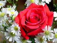 Татьяна Гончарова