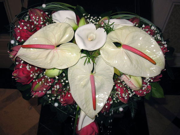 Гульнар Алиева