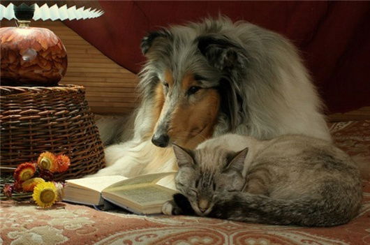 Сергей Ковалев