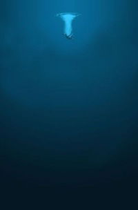 Антон Донецкий