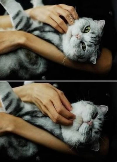 Надюша Личко