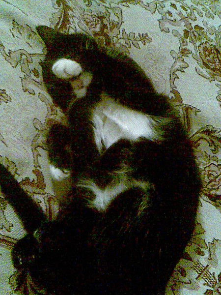 Роза Кочкарова