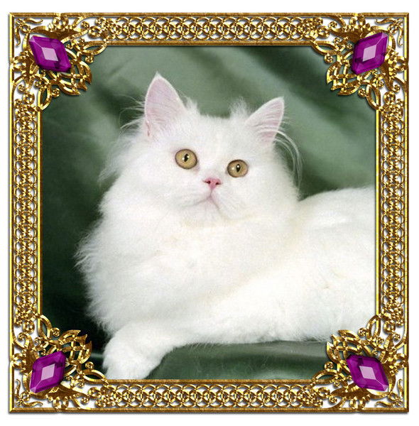 Светлана Туманова