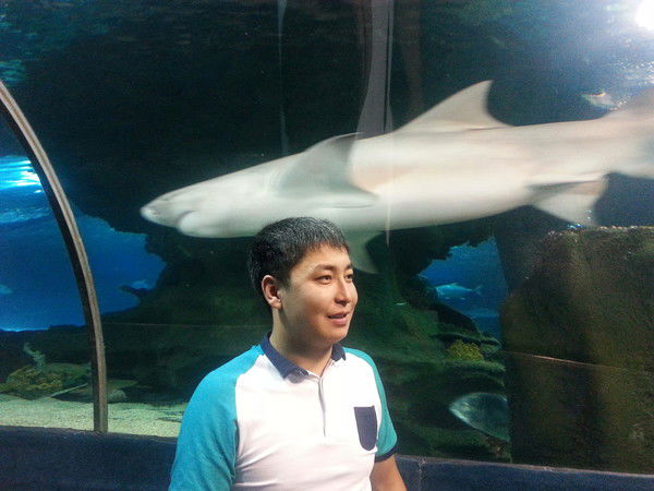 Елдос Стамкулов