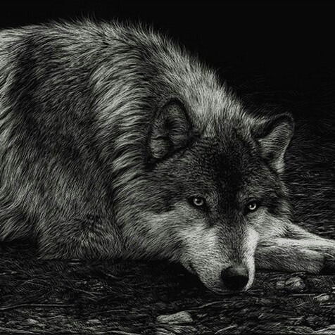 Александр Костеев