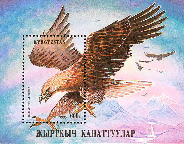 Равшан Жапаров