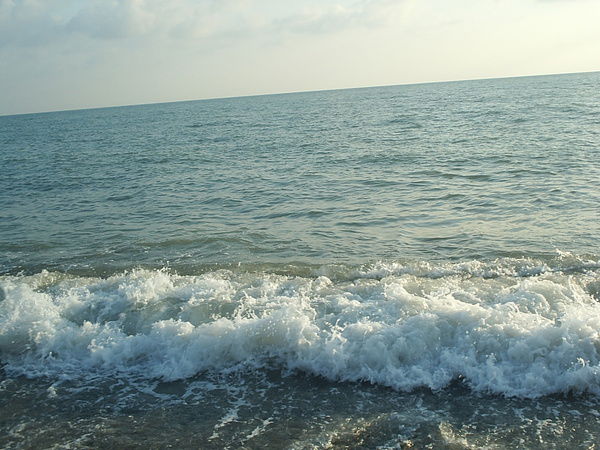 Флёра Сурмашева