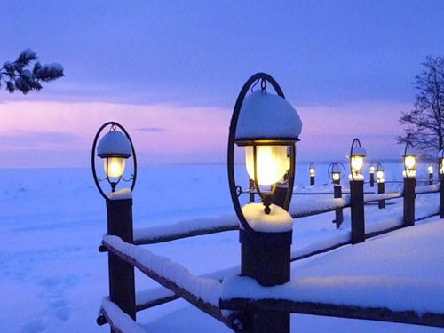 Макс Безумный