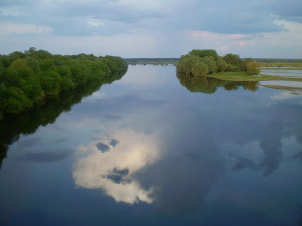 Вячеслав Мозок