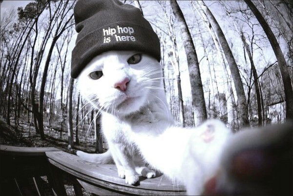 Петя Петров