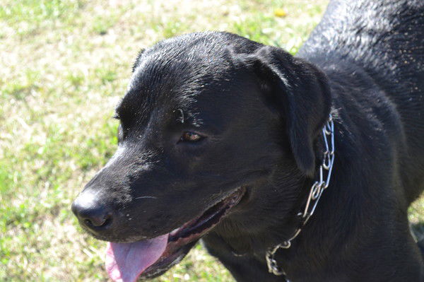 Ирина Журавлева