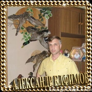 Александр Елфимов