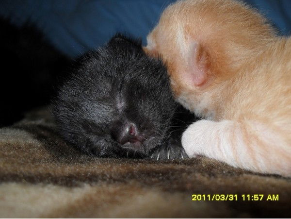 Наталья Ислаева