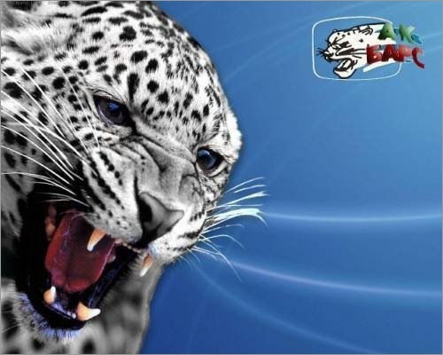 Радик Габайдуллин