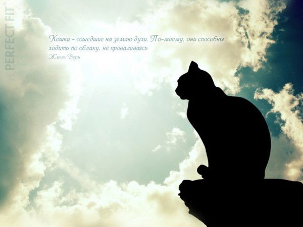 Мария Баландина