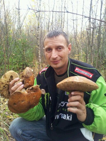 Андрей Хомяков