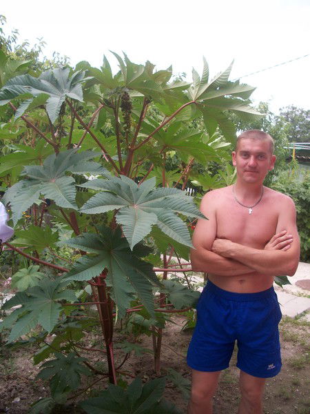 Михаил Гаврилов