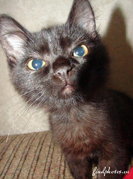 Gузель Iсламова