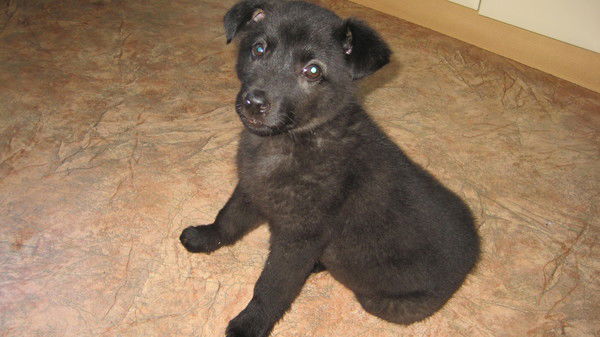 Мишаня Зяблов