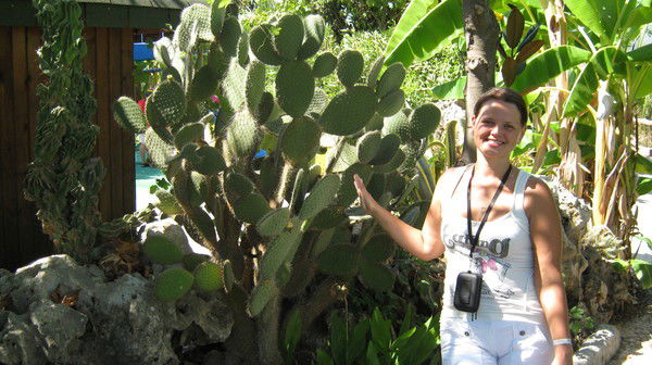 Екатерина Васильева