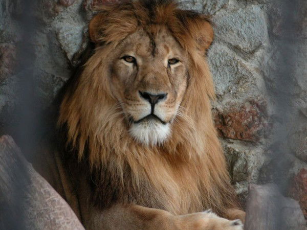 Эрик Сатыбалдинов