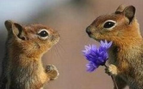 Серёга Сажин