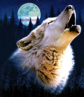 Ромма Арманов