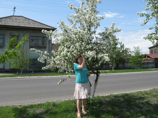 Алина Меньщикова