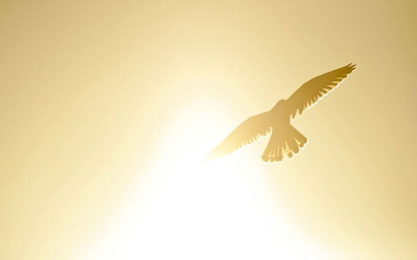 Татьяна Лазунина