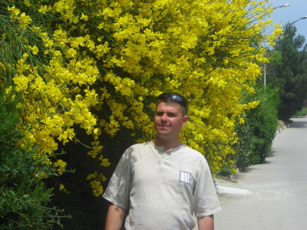 Денис Колесников