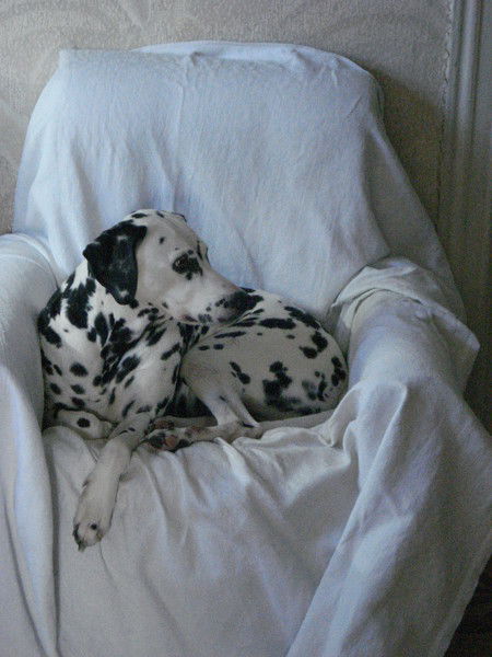 Надежда Сычева