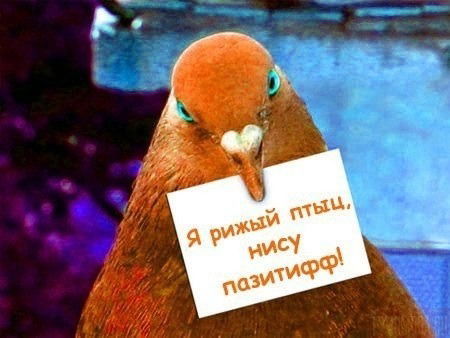 Евгения Шевелева