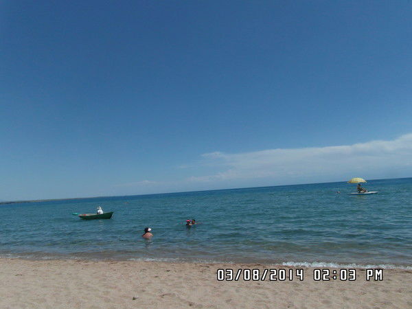 Айка Адылбекова