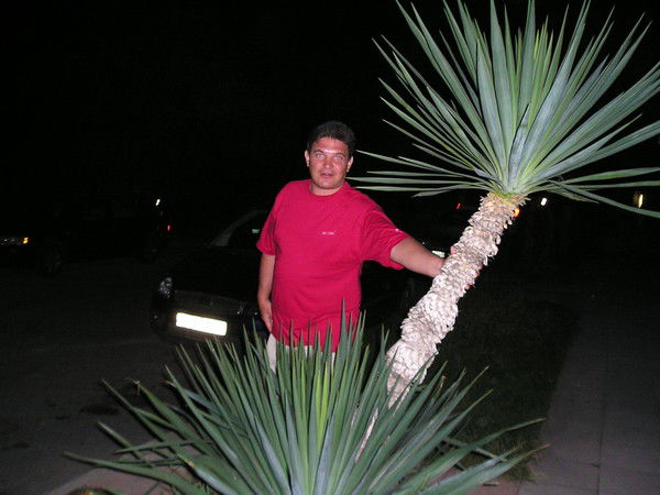 Дмитрий Томчук