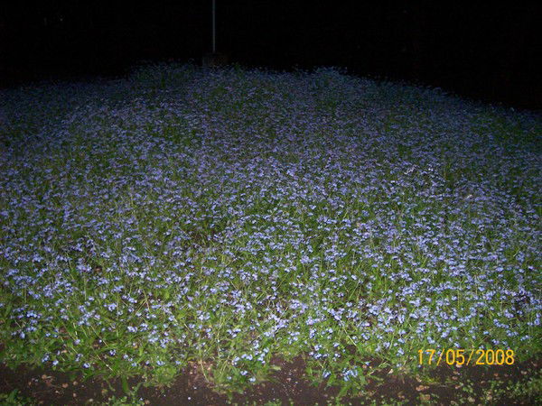 Женя Мельникова