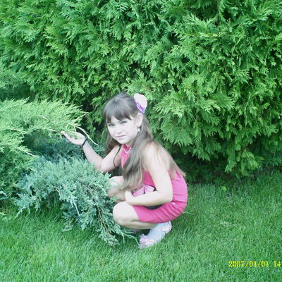 Альбина Евлаева