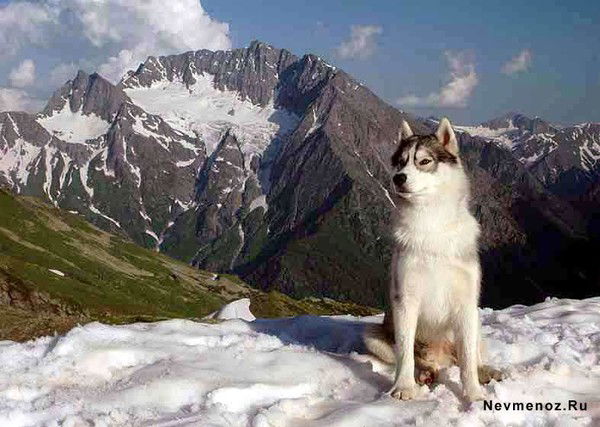 Жаслан И Диана Шалтаевы