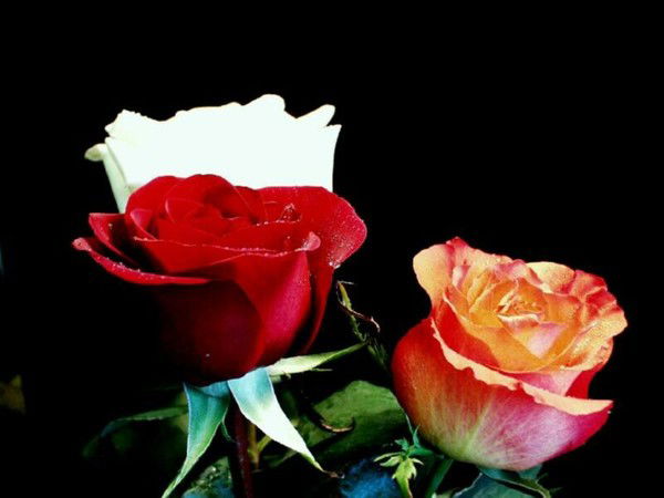 Багдат Жекебаева