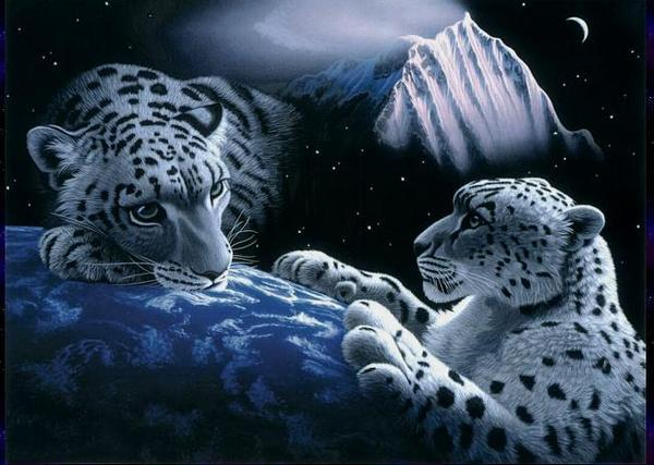 Светлана Фадеева