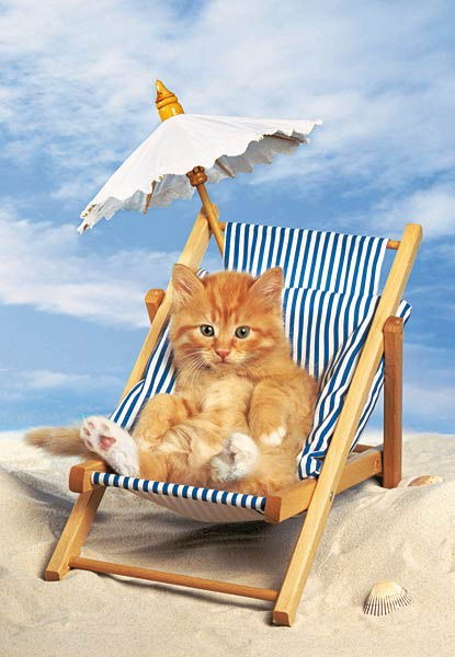 Дима Деревянко